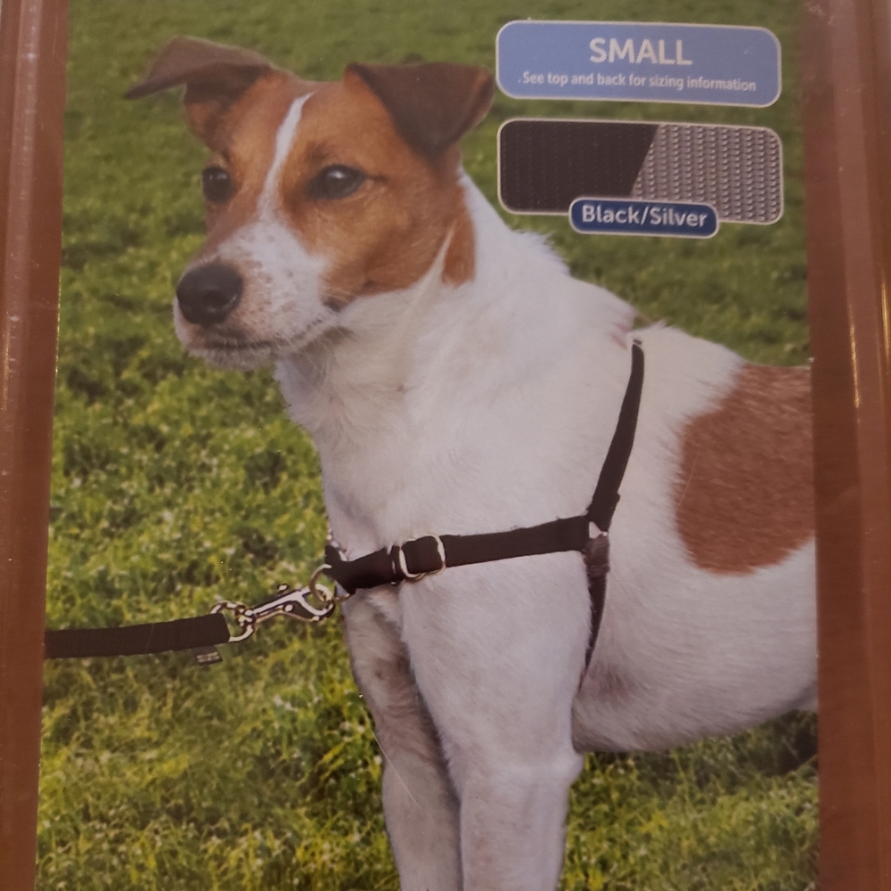 Pet safe harness